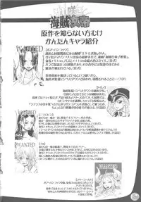 (C79) [Arsenothelus (Rebis, Chinbotsu)] Midarezaki Kaizoku Jotei (One Piece)