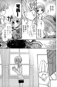 Gokujyo Drops 1 | 极上水果糖