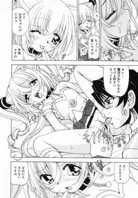 COMIC Megastore 2005-06