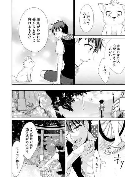 Wolves and Erotic Things