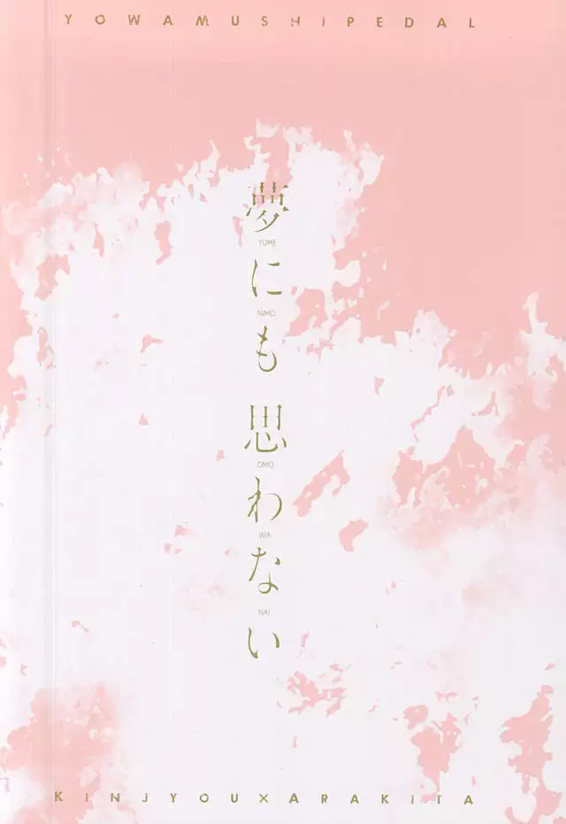 Yume ni mo Omo wa Nai