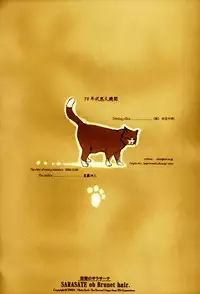 (C67) [70 Nenshiki Yuukyuu Kikan (Endou Okito)] Kurokami no Sarasate - SARASATE ob Brunet hair. [Chinese] [嗶咔嗶咔漢化組]