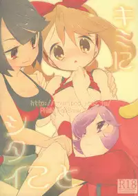 (C90) [chori (Mokki)] Kimi ni shitai Koto (Pokémon) [English]