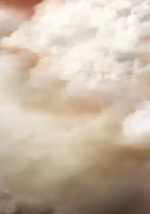 Intou Joubo ~Yukemuri ni Ukabu Bibo no Karada