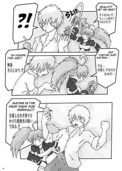 [KEBERO Corporation (Shimokata Kouzou, Evhor)] Shin Hanjuuryoku 44