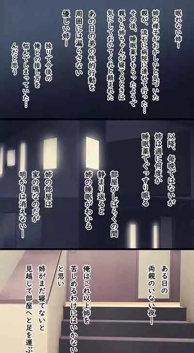 [Ruman-dou] Komarigao na Bijin no Ane o Osotte Yaritai Houdai Yatta Hanashi -Suiminkan-