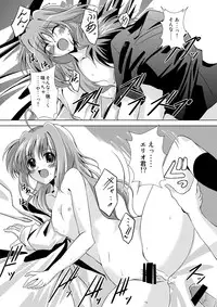 [The Seventh Sign] THE BEAUTIFUL WORLD (Mahou shoujo lyrical Nanoha)