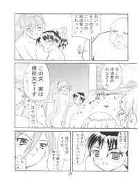 [Petit Bunny (Tokimaru Yoshihisa, Arino Tsubute, LEM)] Imouto de Ikou! (Dokkoida)