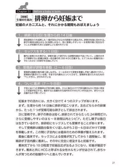 やらなくてもまんがで解る性交と妊娠 赤ちゃんのつくり方