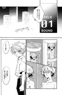 (Kimi to no Rendan 7) [Kougata Chococake (Keoko)] Tsumetai Aka o Idaite (Neon Genesis Evangelion)