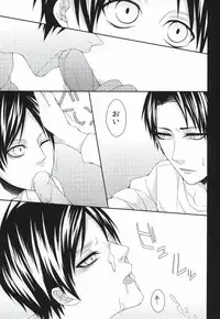 (FALL OF WALL4) [T.K-Cinema (Tako)] Mubyou - Dreamer's Sickness (Shingeki no Kyojin)