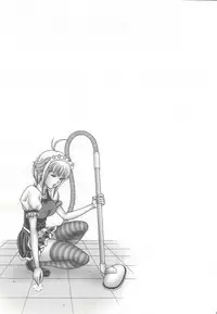 [Studio Wallaby (Seishinja)] Iori to Aimi to Anna Koto... (I'S, Shadow Lady)