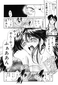 [Amayumi] Sakura Sakura