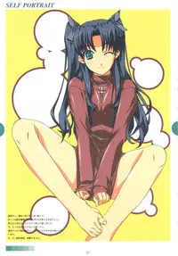 (SC33) [MONTAGE (Takato Suzunosuke)] SELF PORTRAIT (Fate/hollow ataraxia)