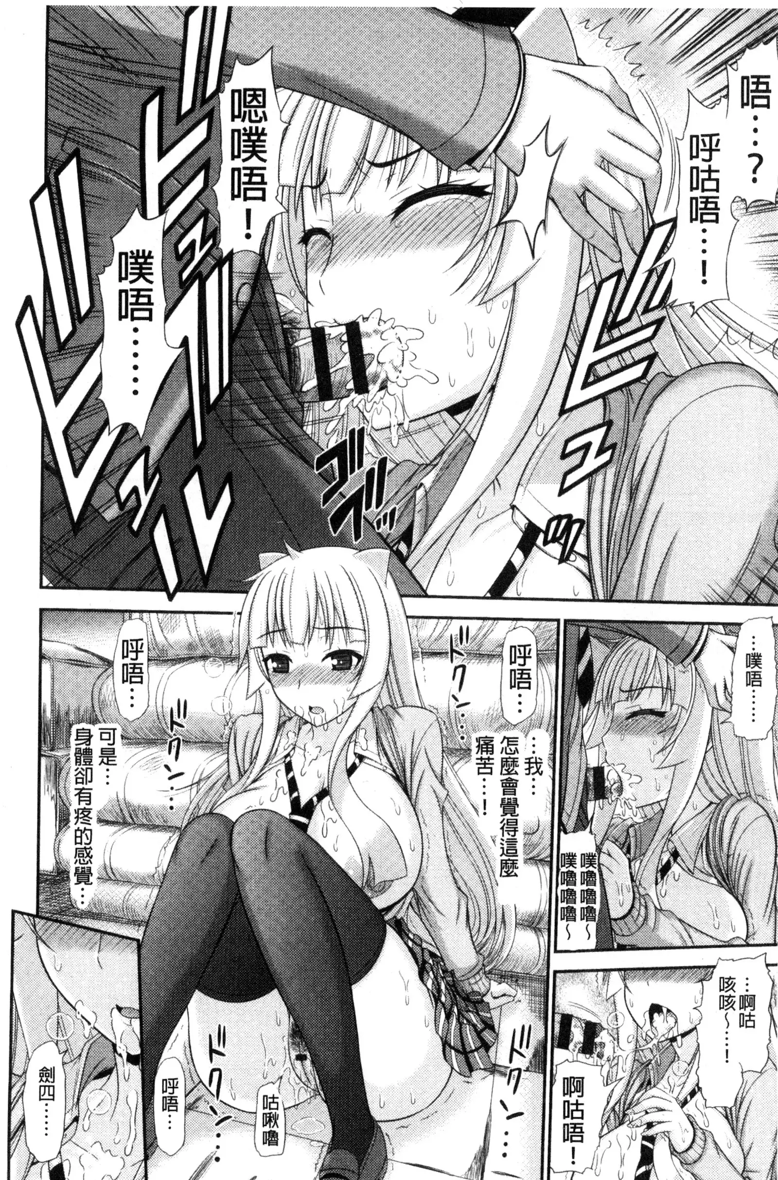 Shimai Seikou Inshuu