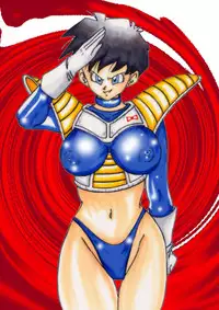[Light Rate Port Pink] Tanjou!! Aku no Onna Senshi - Videl Sennou Kaizou Keikaku (Dragon Ball Z)