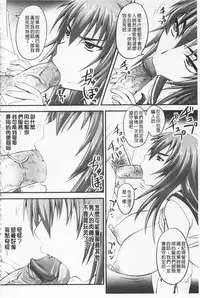 [Nozarashi Satoru] Do S na Hime wa Kegasareru -Ouhou no Shou- | 超S的公主被玷汙了 ～報應之章～ [Chinese]