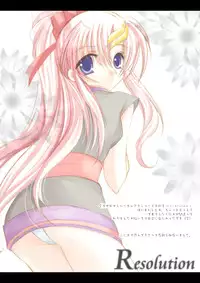 [ARC (Tamagawa Yukimaru)] Resolution (Gundam SEED DESTINY) [Digital]