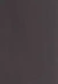 [Wada Mountain (Takashi)] Gensou Kinjuuen 2 (Touhou Project) [Chinese] [朔夜汉化] [Digital]