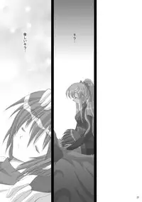 [ARC (Tamagawa Yukimaru)] Resolution (Gundam SEED DESTINY) [Digital]