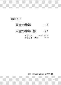 (C78) [MISAKIX MEGAMIX (Misakitou)] Tenkuu no Harayome (Dragon Quest V)