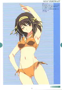 (SC33) [MONTAGE (Takato Suzunosuke)] SELF PORTRAIT (Fate/hollow ataraxia)