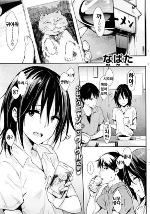 Neko Kaitai | 고양이 사고싶어