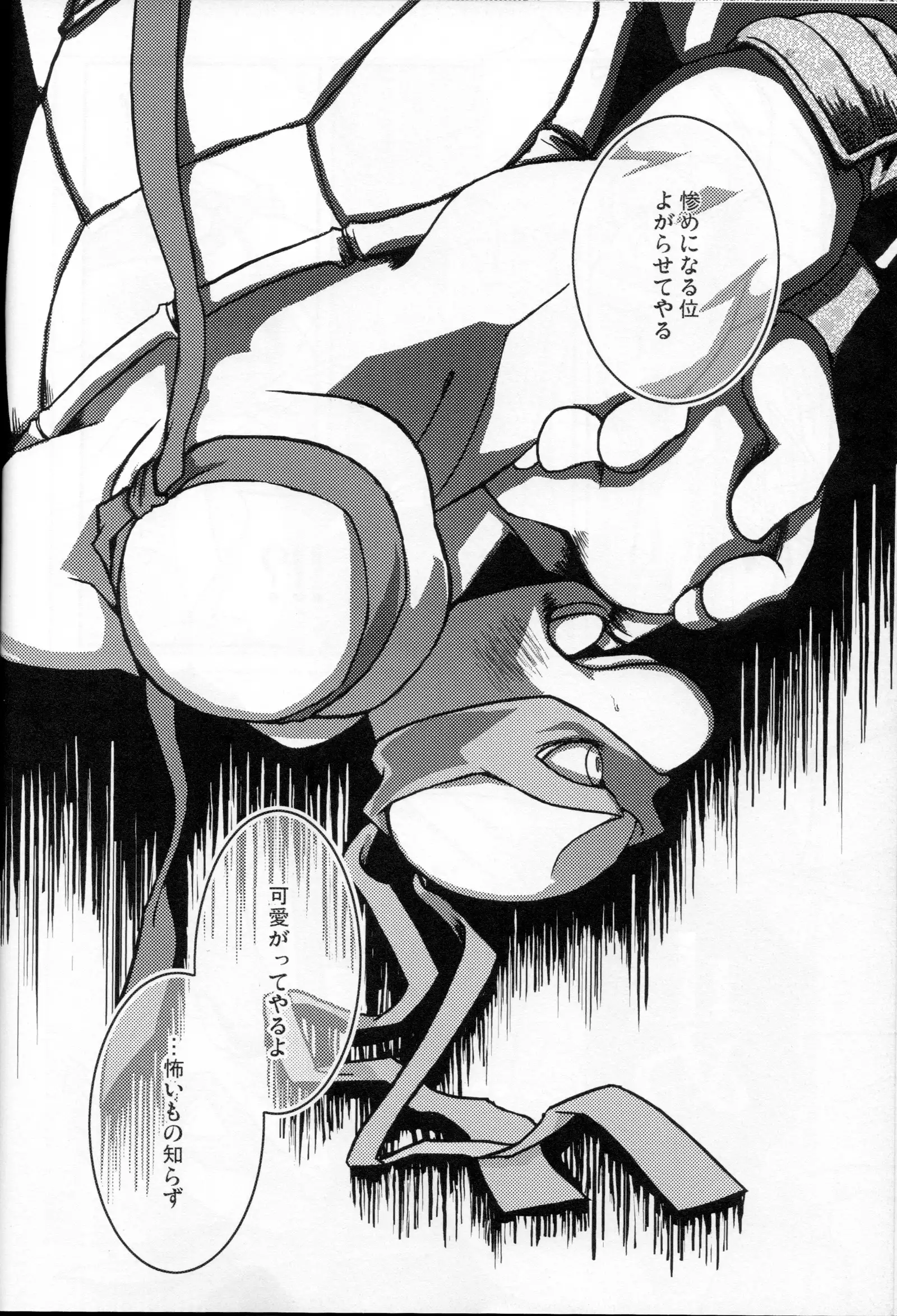 FALLEN - Raph vs Leo - Teenage Mutant Ninja Turtles, TMNT doujinshi