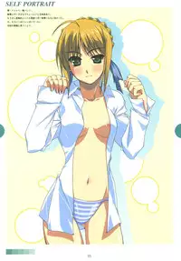 (SC33) [MONTAGE (Takato Suzunosuke)] SELF PORTRAIT (Fate/hollow ataraxia)