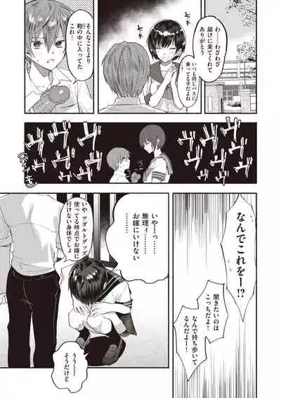 COMIC Shitsurakuten 2020-02