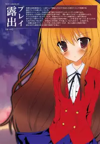 [Mint Chocolate (Himuro Kouichi, Raw)] Roshutsu Shoujo Tora (Toradora!) [Chinese] [匿名无名汉化] [Digital]