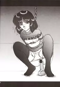 (C70) [Thirty Saver Street 2D Shooting (Maki Hideto, Sawara Kazumitsu)] Silent Saturn SS vol. 9 (Bishoujo Senshi Sailor Moon)