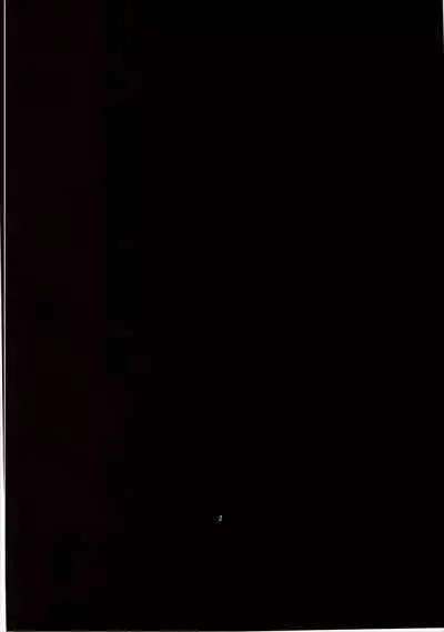 Dina-chan no Erohon V3