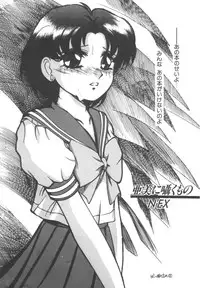 Colorful Moon Vol. 4 [Sailor Moon]