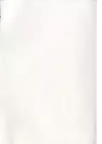 (C76) [Windtone (Safi)] Sweet Cat Colorful! (Strike Witches)