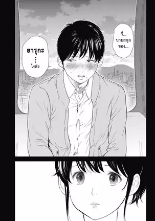 Netoraserare Vol.1-3