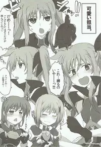 (C92) [STROLL IN THE WOODS !! (ELF)] Shinu yori Hidoi Naiyou no Kansoubon (Mahou Shoujo Lyrical Nanoha)