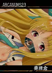 [Cartagra (Kugami Angning)] ARCANUMS23 (Mahou Shoujo Lyrical Nanoha INNOCENT) [Digital]