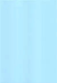 (C94) [Nekomataya (Nekomata Naomi)] Mash no Hajimete Tutorial (Fate/Grand Order) [Chinese] [脸肿汉化组]