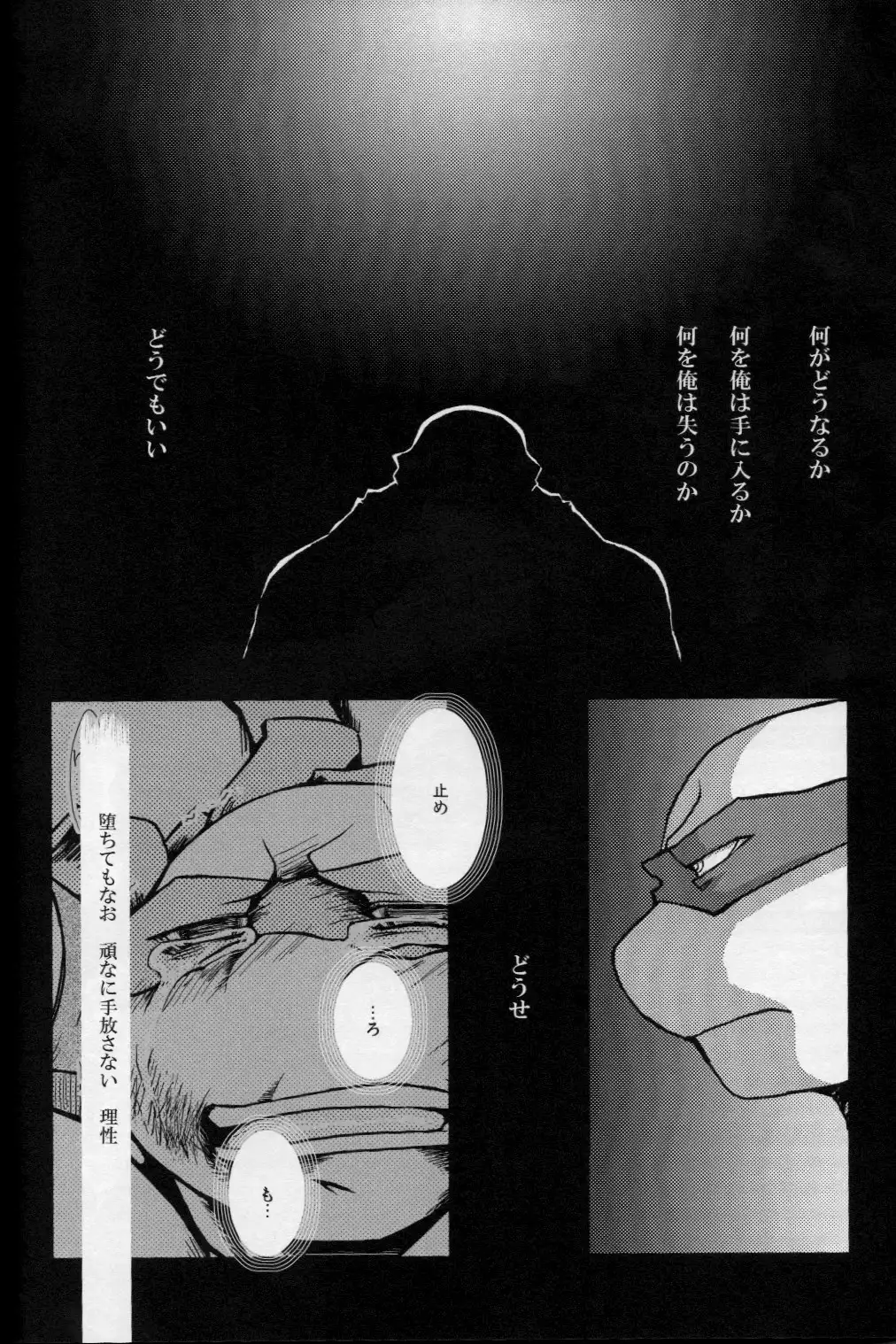 FALLEN - Raph vs Leo - Teenage Mutant Ninja Turtles, TMNT doujinshi