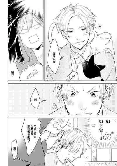 恋爱中的猫咪想被抚摸