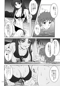 (C70) [SEITOKAISHITSU (Akimoto Dai)] THE SCARLET INVADER. (Fate/stay night)