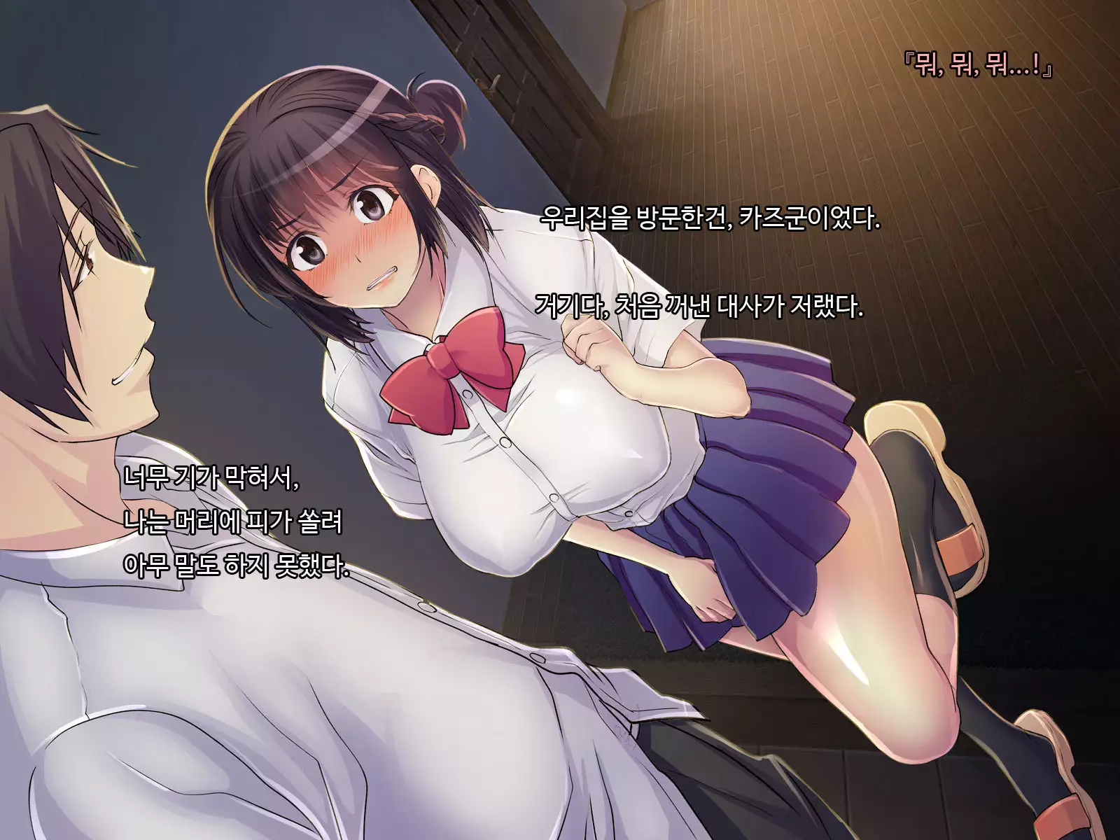 ani sex > otouto sex