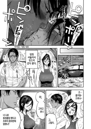 Koisugi | 코이스기