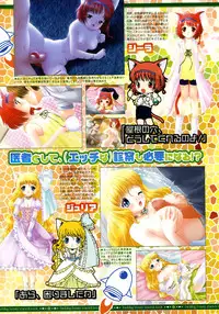 COMIC Megastore 2005-06