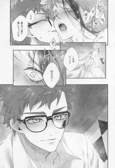 Hadome ga Kikanaku natta Ningyo to Furimawasareru Futsuu no Otoko no Hanashi