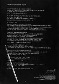 (C80) [Veronica no Ha (Noba)] Toke Ochireru Hyoutou Yugamu Ryuu no Chouai (Beat Blades Haruka)