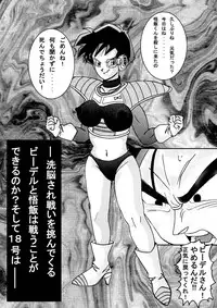 [Light Rate Port Pink] Tanjou!! Aku no Onna Senshi - Videl Sennou Kaizou Keikaku (Dragon Ball Z)