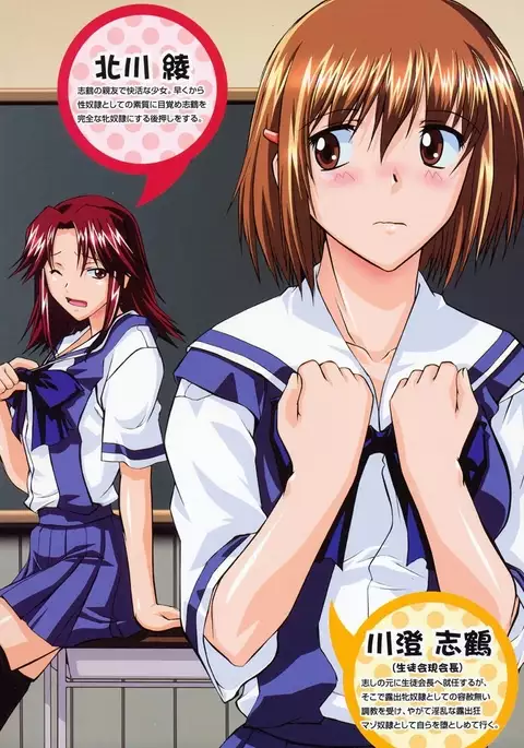 Shinro Shidou - SEX is needed for school life