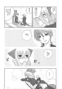 (C73) [TRIP SPIDER (niwacho)] LOVE CONTACT 6 (Ragnarok Online)